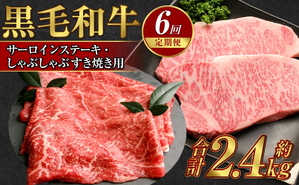 【定期便6か月】岡山 黒毛和牛 美星牛 A4等級以上 牛脂付き 6か月定期便 合計約2400g