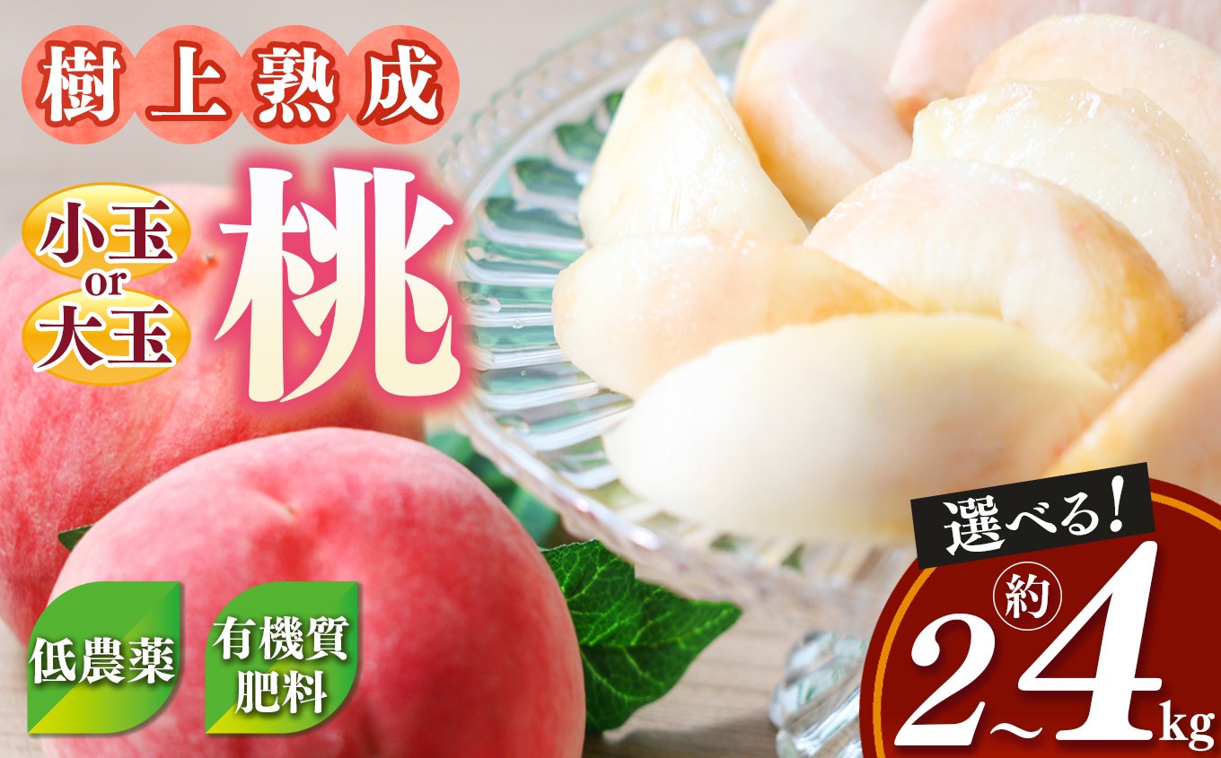 桃（小玉）約4kg箱（13～15個）