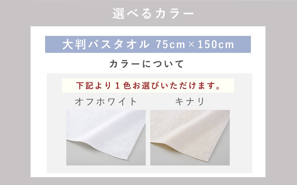 【今治タオルブランド認定】なめらかバンガロールorganic 大判バスタオル