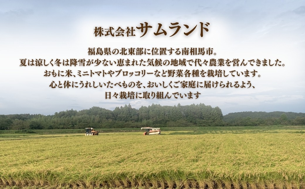 先行予約 コシヒカリ 白米 5㎏｜ 福島 福島県産 福島産 精米 令和7年産 【149448-001-01】