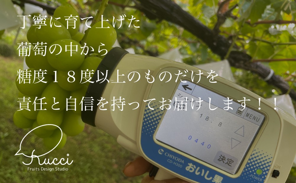 ルッチは美味しいフルーツを確実にお客様に届けることに全力を尽くしています！