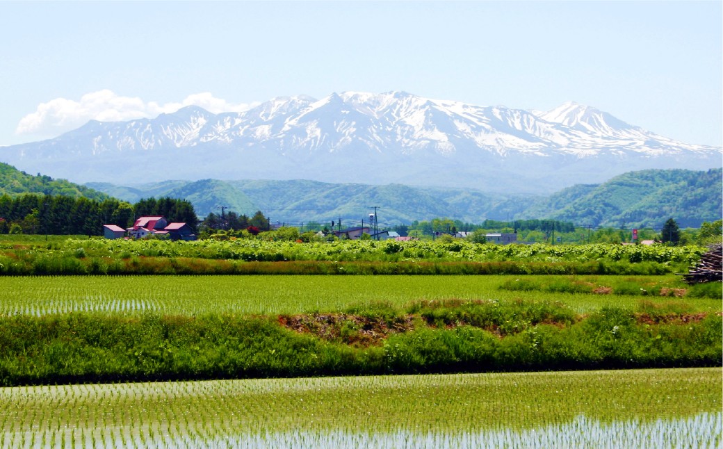 愛別町への寄附10,000円（返礼品はありません）