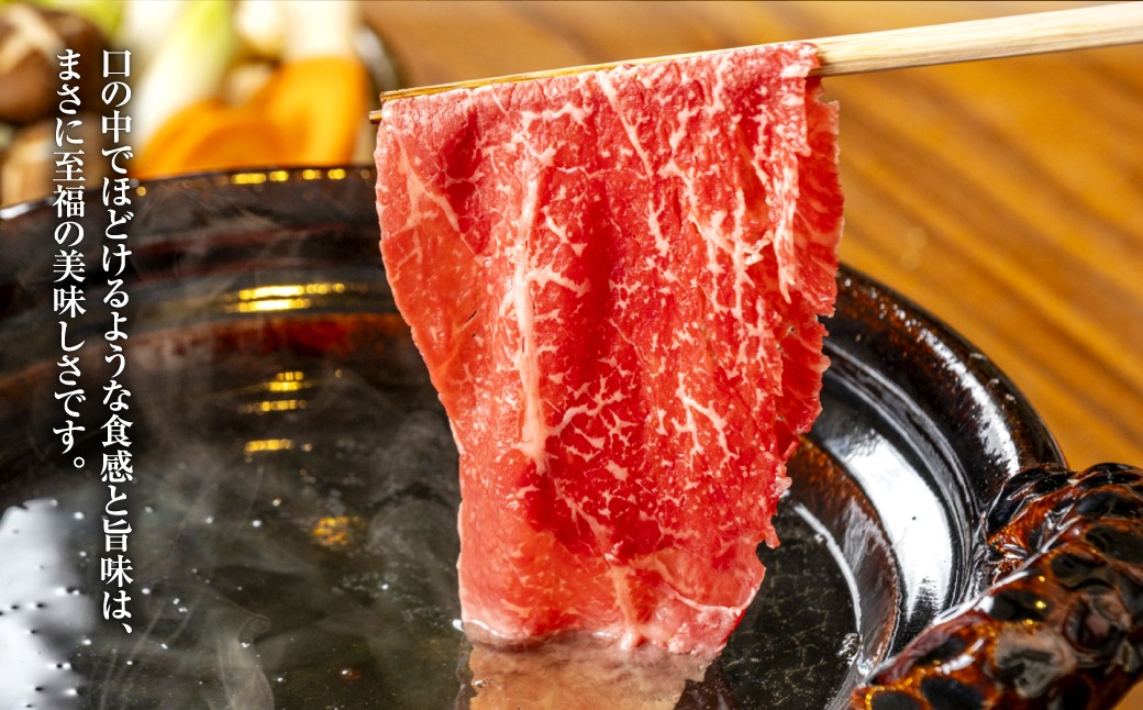 【定期便2か月】岡山 黒毛和牛 美星牛 A4等級以上 牛脂付き お試し定期便 合計約800g