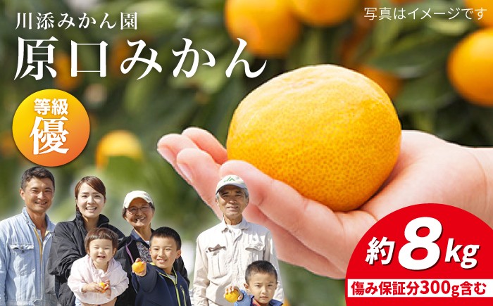 みかん  原口みかん