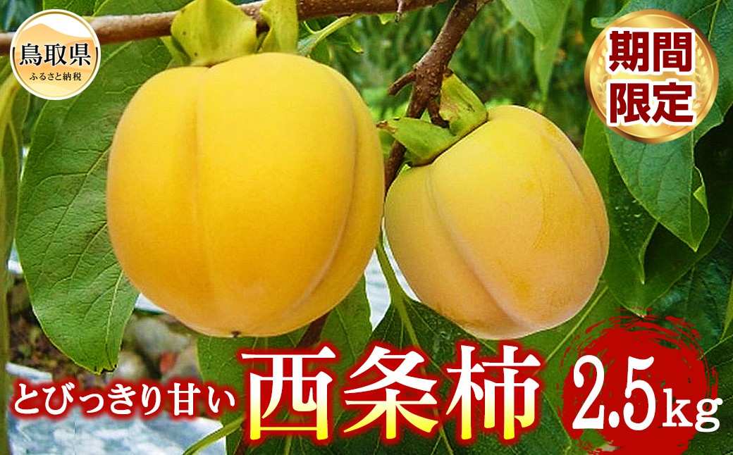 A23-56 柿(西条柿)【期間限定】
