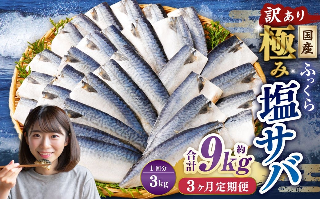 【3ヶ月定期便】【訳あり】国産 ふっくら 極み塩サバ 計約3kg