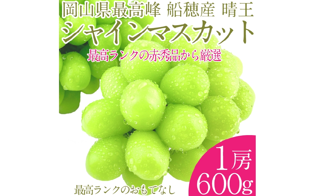  プレミアム シャインマスカット 晴王 1房 約600g