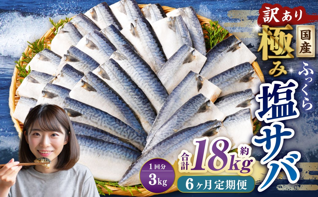 【6ヶ月定期便】【訳あり】国産 ふっくら 極み塩サバ 計約3kg