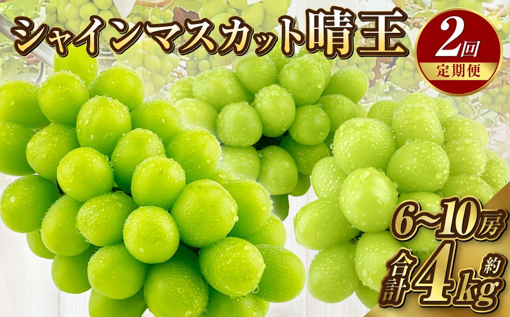【定期便 全2回／2025年9・10月発送】 岡山県産シャインマスカット 晴王 約2kg（3～5房）