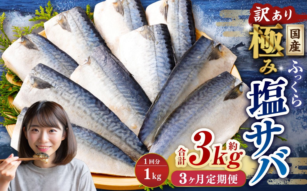【3ヶ月定期便】【訳あり】国産 ふっくら 極み塩サバ 計約1kg