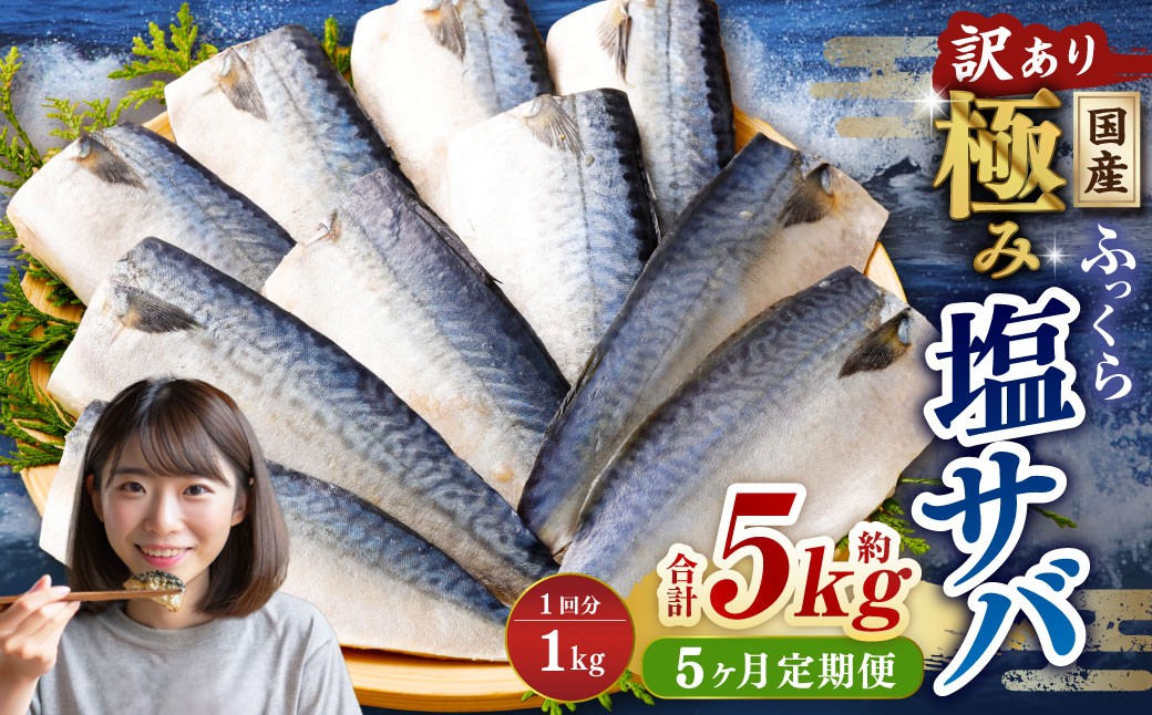 【5ヶ月定期便】【訳あり】国産 ふっくら 極み塩サバ 計約1kg