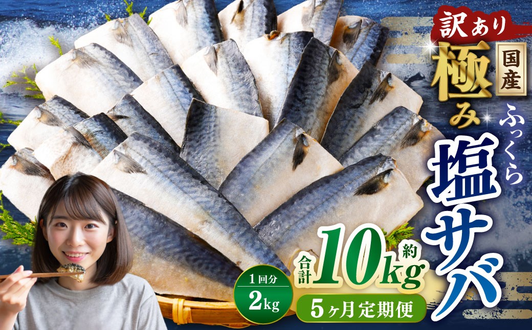 【5ヶ月定期便】【訳あり】国産 ふっくら 極み塩サバ 計約2kg