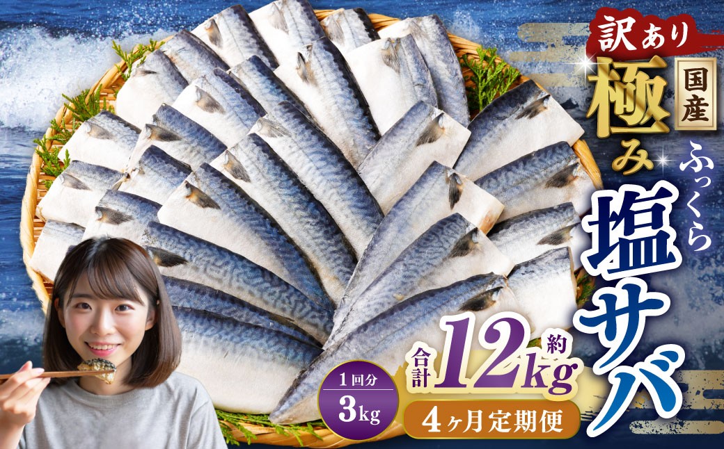 【4ヶ月定期便】【訳あり】国産 ふっくら 極み塩サバ 計約3kg