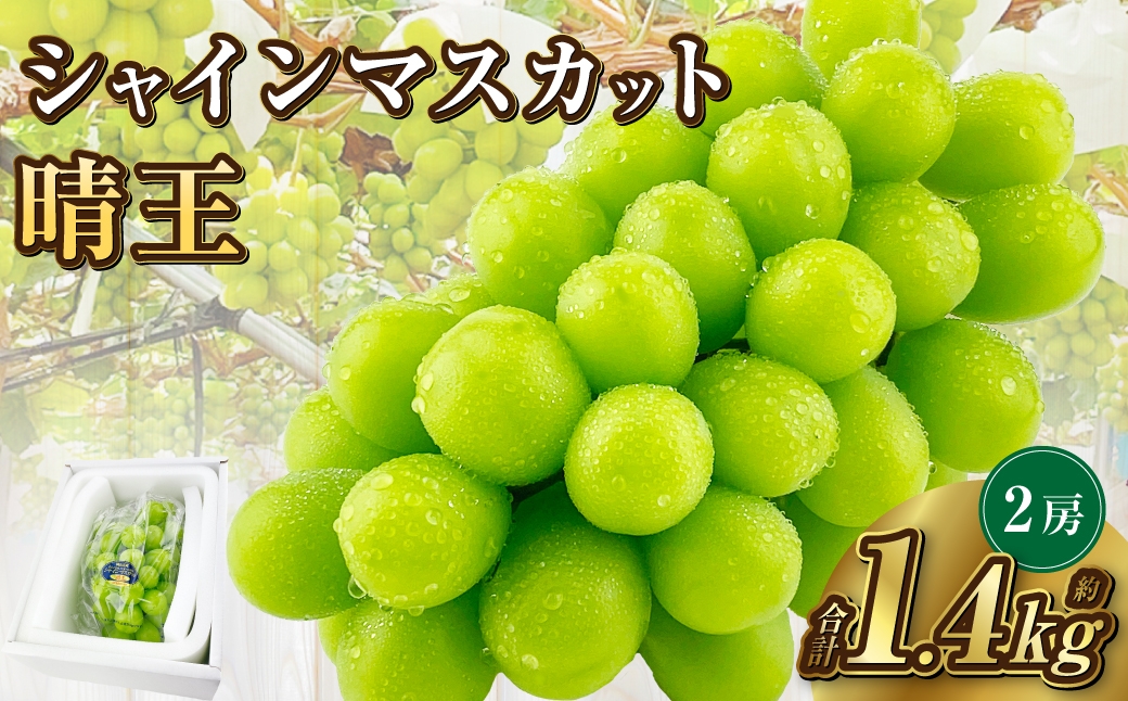 岡山県産 シャインマスカット 晴王 2房 約1.4kg