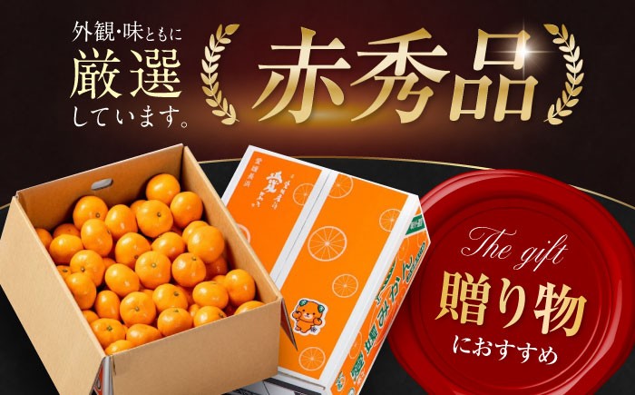 フルーツの代表!冬の定番果物!赤秀 愛媛県産 早生みかん 5㎏箱(50玉~80玉)