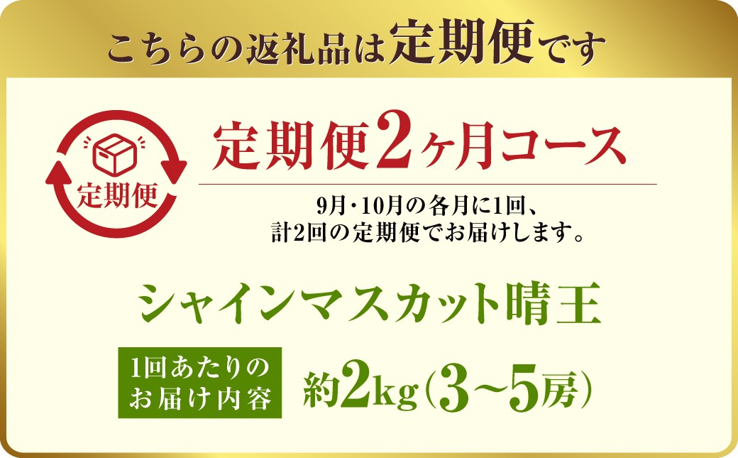【定期便 全2回／2025年9・10月発送】 岡山県産シャインマスカット 晴王 約2kg（3～5房）