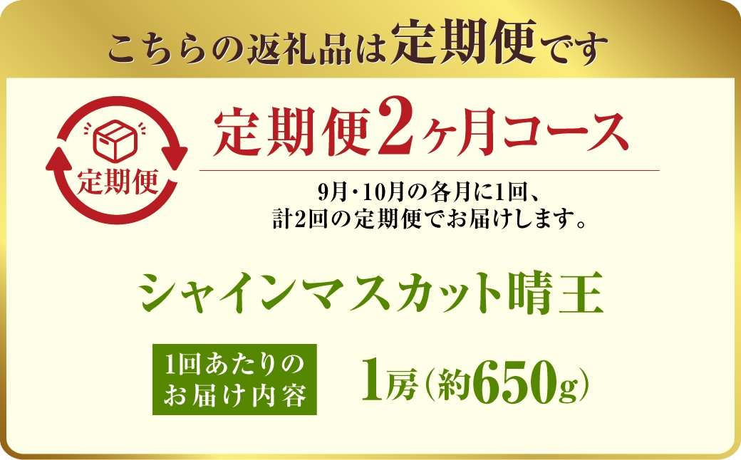 【定期便 全2回／2025年9・10月発送】 岡山県産シャインマスカット 晴王 1房 約650g