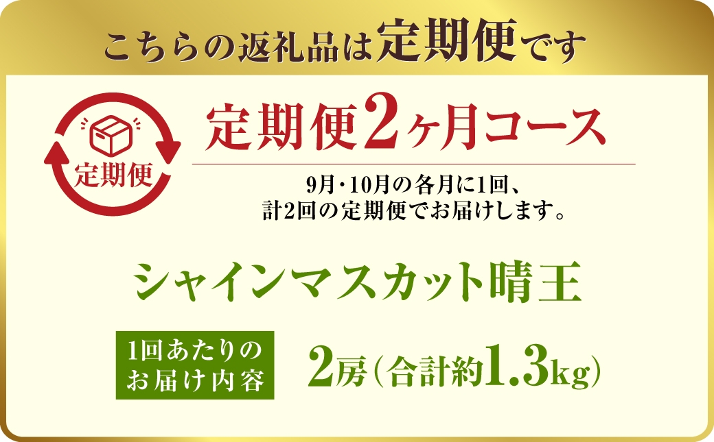 【定期便 全2回／2025年9・10月発送】 岡山県産シャインマスカット 晴王 2房 約1.3kg