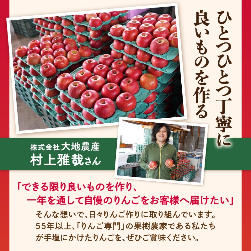 《先行受付》【2027年2月発送予定】 訳あり 家庭用サンふじ約10kg　【大江町産・山形りんご・大地農産】
