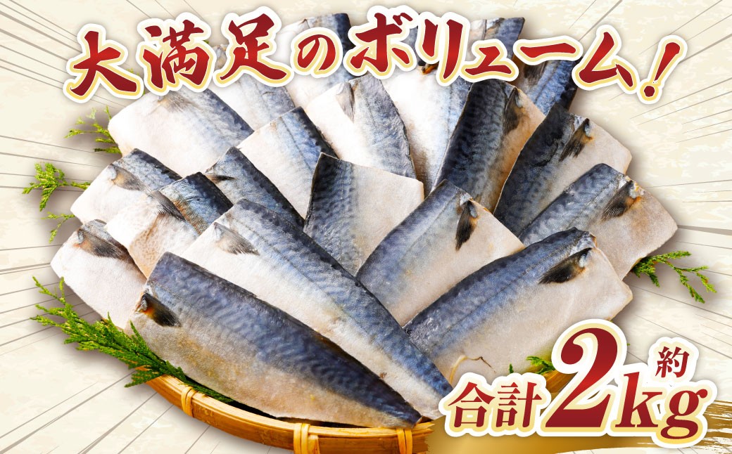 【訳あり】国産 ふっくら 極み塩サバ 計約2kg