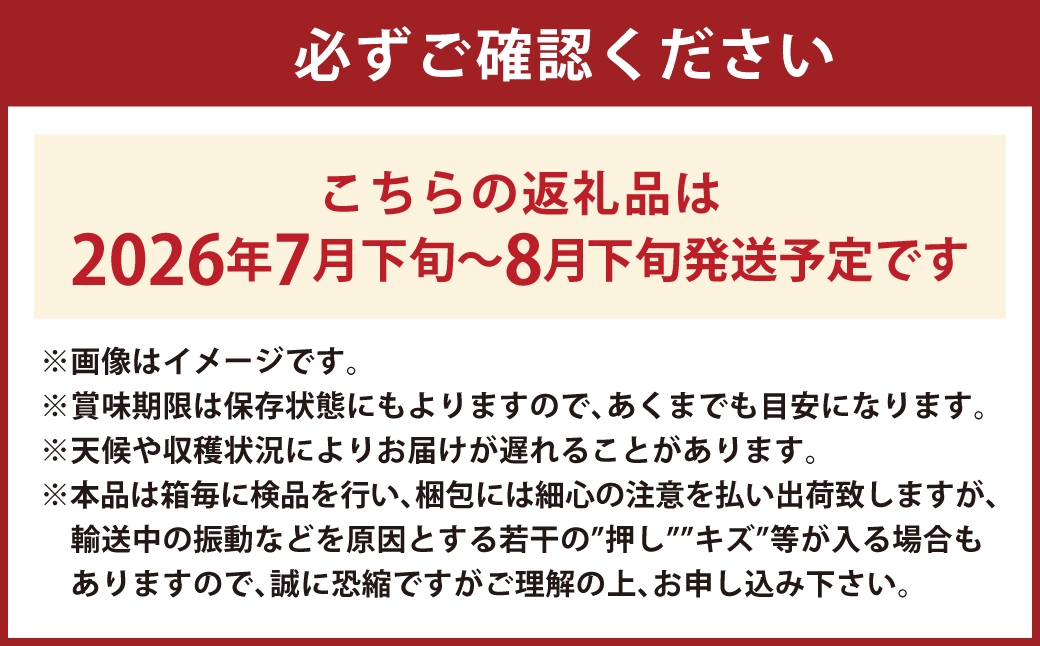 シャインマスカット 晴王 2房 約1.4kg 