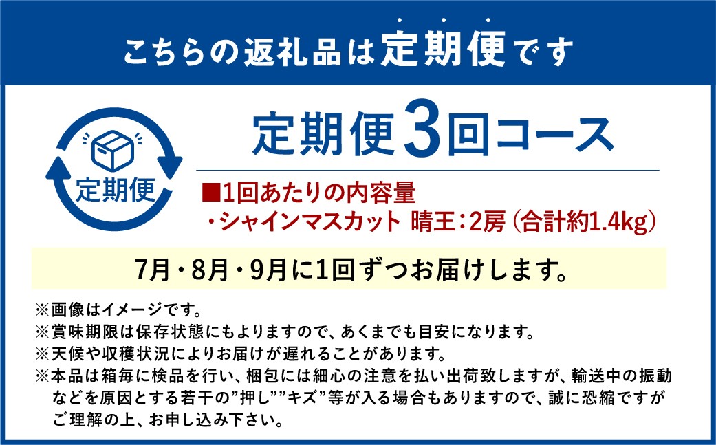 シャインマスカット 晴王 2房 約1.4kg 3回 定期便 