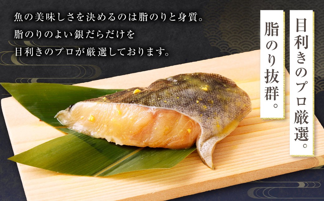 【4ヶ月定期便】西京漬け 極み銀だら 12枚セット