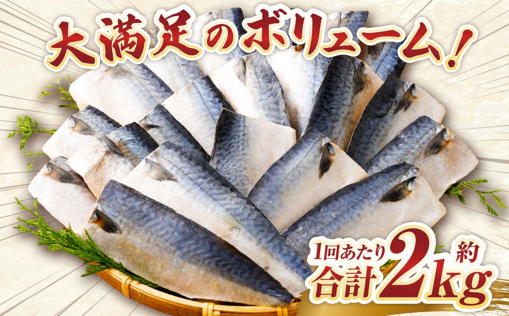 【4ヶ月定期便】【訳あり】国産 ふっくら 極み塩サバ 計約2kg