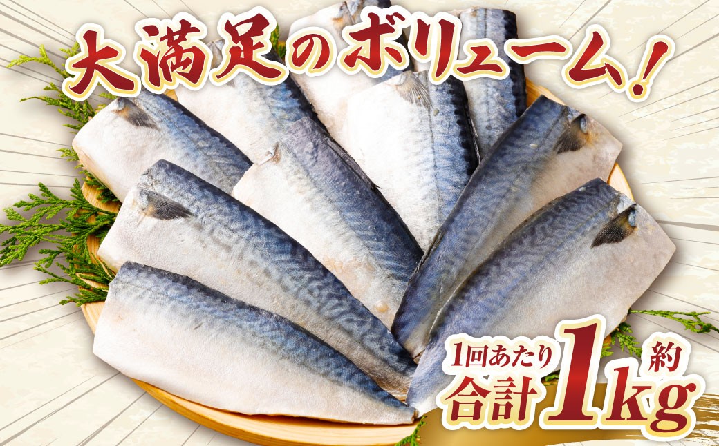 【3ヶ月定期便】【訳あり】国産 ふっくら 極み塩サバ 計約1kg
