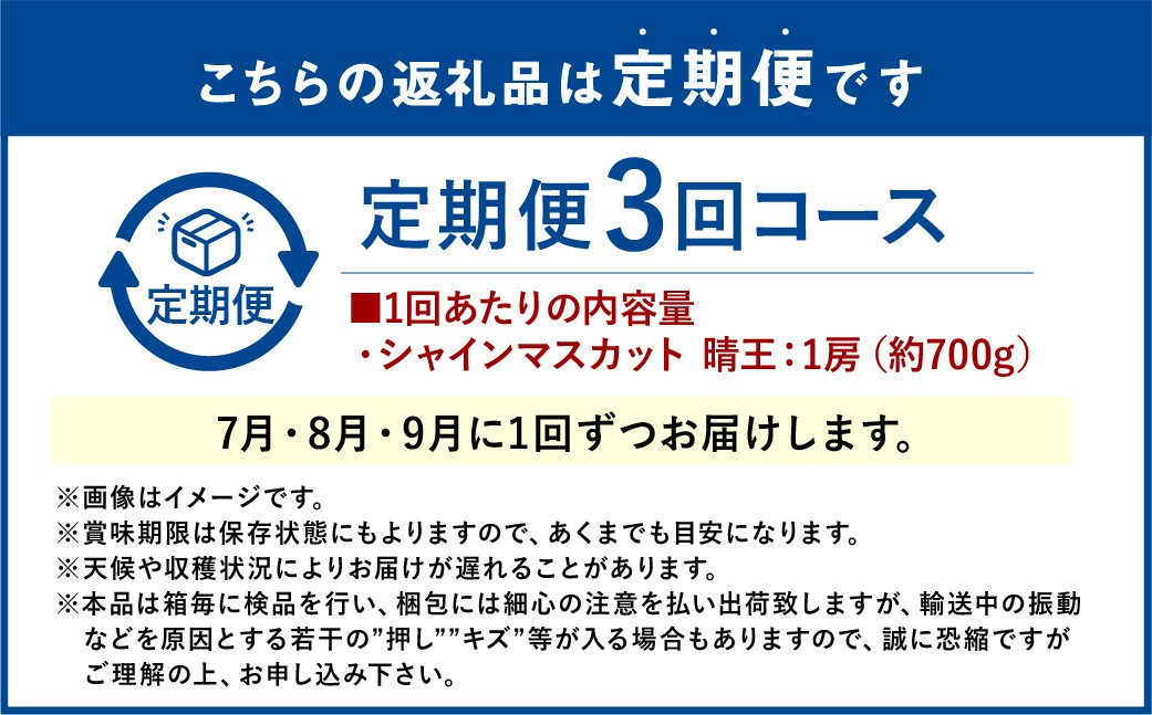 シャインマスカット 晴王 1房 約700g 3回 定期便 