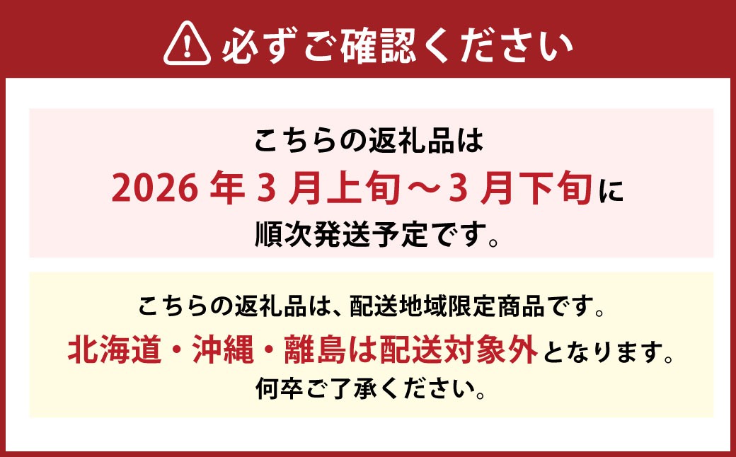 アンコールオレンジ 3L~L 約4kg 柑橘 みかん 愛媛【2025年3月発送予定】(724)