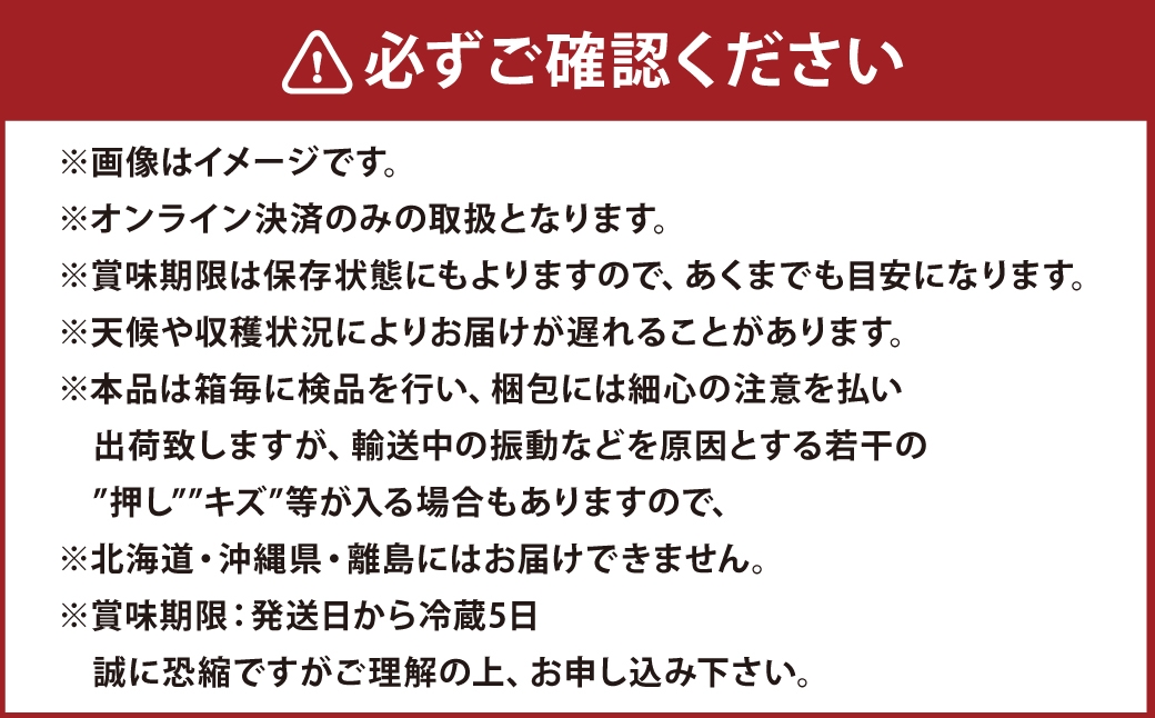 【定期便 全2回／2025年9・10月発送】 岡山県産シャインマスカット 晴王 2房 約1.3kg