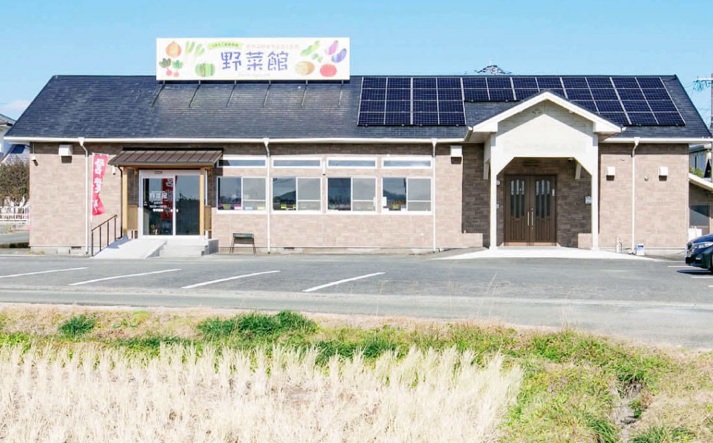 【年3回連続定期便】 【令和7年度産】 熊本県 （七城） 産のお米 計30kg（計10kg（5kg×2個）×3回） 