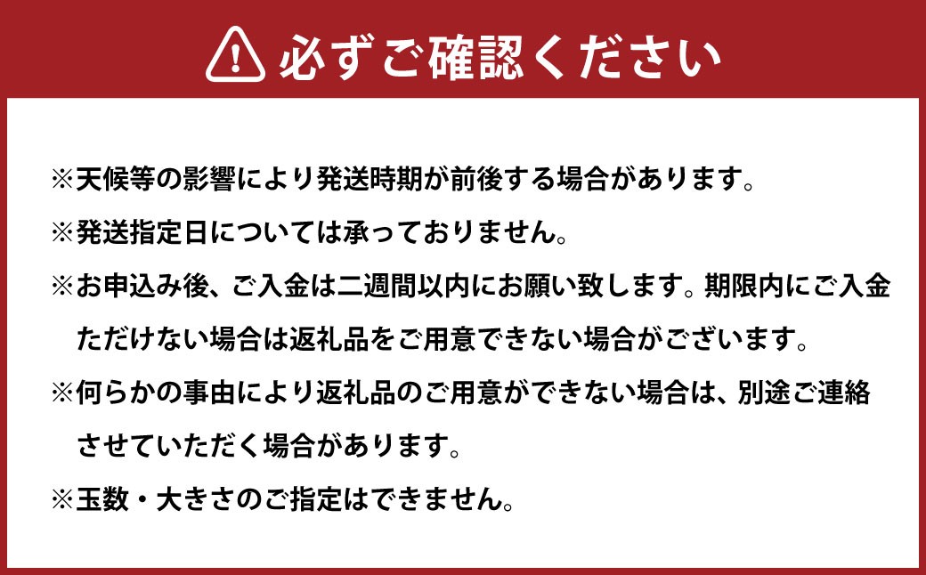 アンコールオレンジ 3L~L 約4kg 柑橘 みかん 愛媛【2025年3月発送予定】(724)