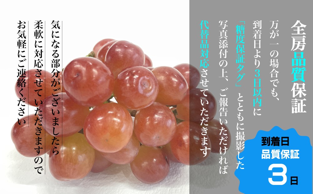 糖度を保証しているということは「完熟」している美味しい葡萄をお送りすること。だから万が一にもしっかり対応させていただきます。