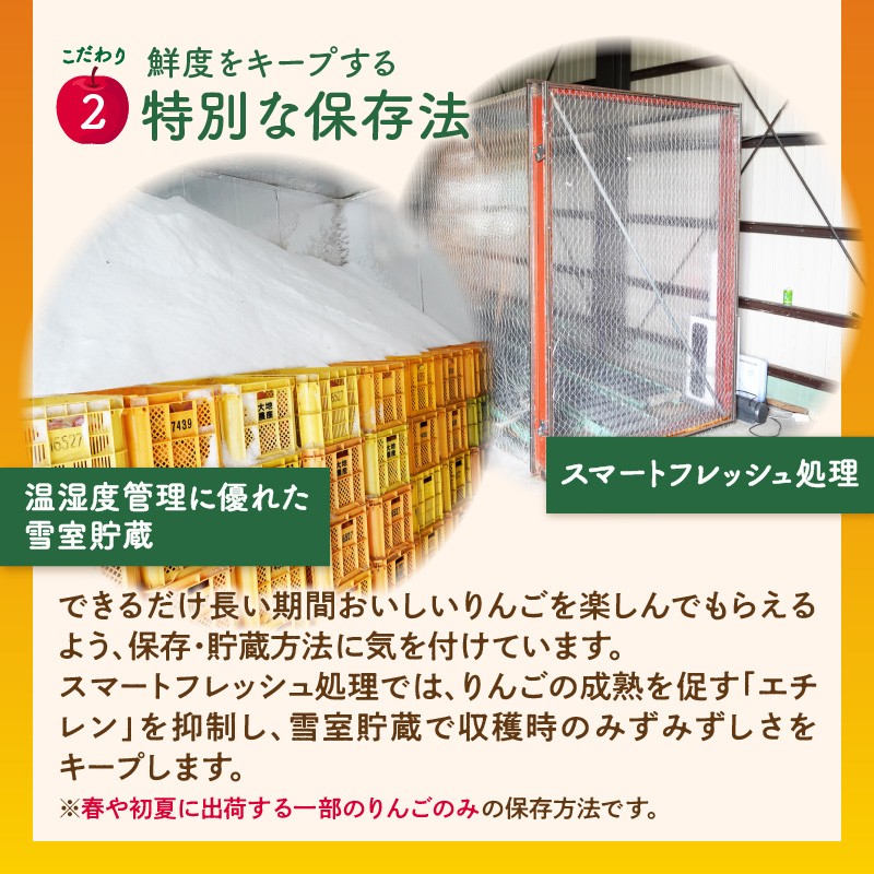 《先行受付》【2027年2月発送予定】 サンふじ約5kg・秀品【大江町産・山形りんご・大地農産】