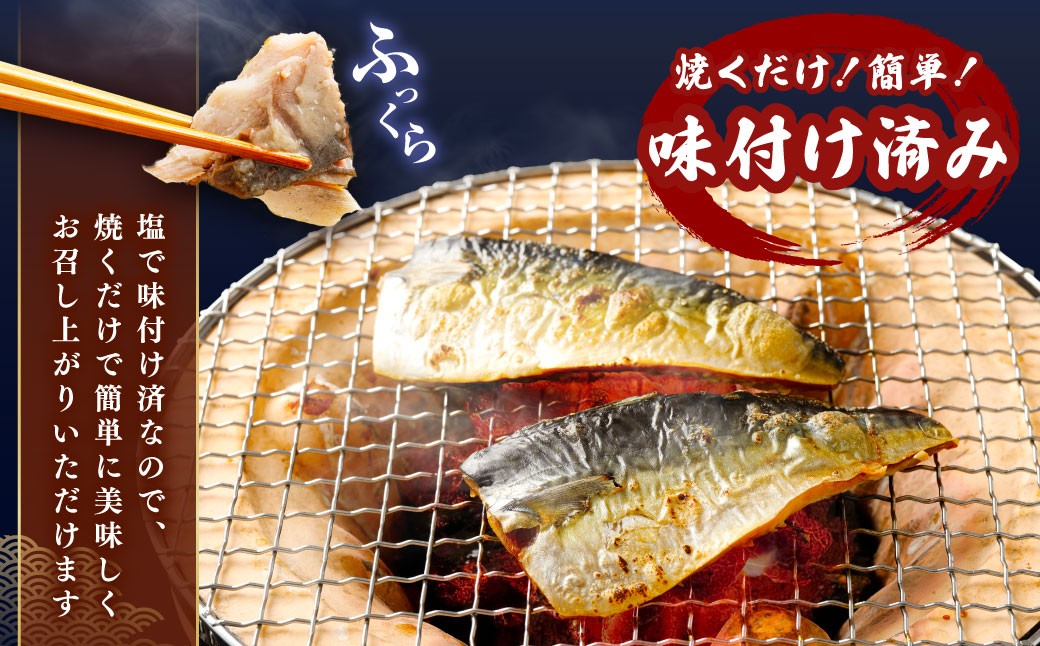 【3ヶ月定期便】【訳あり】国産 ふっくら 極み塩サバ 計約2kg