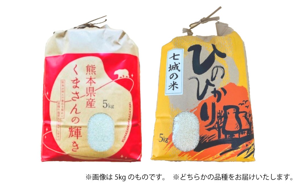 【6ヶ月連続定期便】 【令和7年度産】 熊本県（七城）産のお米と熊本県産の野菜ときのこ お米（2kg）・野菜＆きのこ（7～8品）