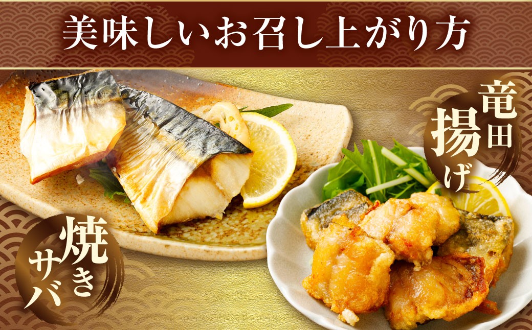 【3ヶ月定期便】【訳あり】国産 ふっくら 極み塩サバ 計約2kg