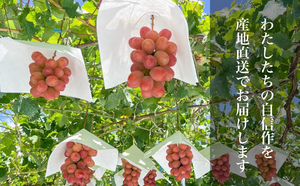 生産からお手元にお届けするまで全てを丁寧に丁寧に取り組ませていただいております。