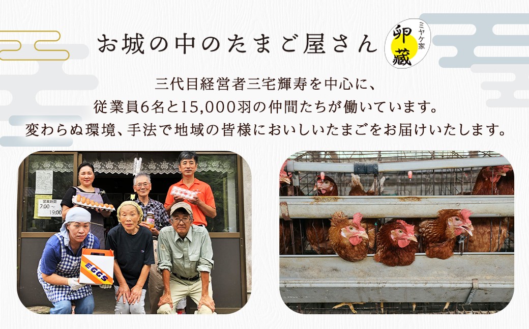 海苔と焼酎粕を食べて育った 平飼い卵「恒輝卵」40個