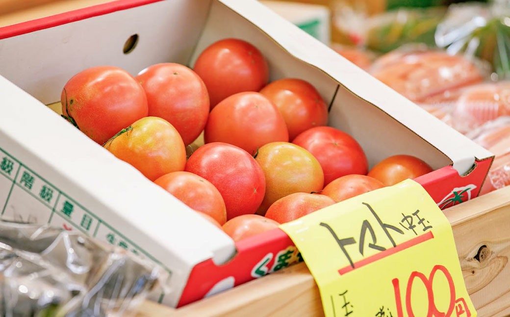 【6ヶ月連続定期便】 【令和7年度産】  熊本県（七城）産のお米と熊本県産の野菜ときのこ お米（5kg）・野菜＆きのこ