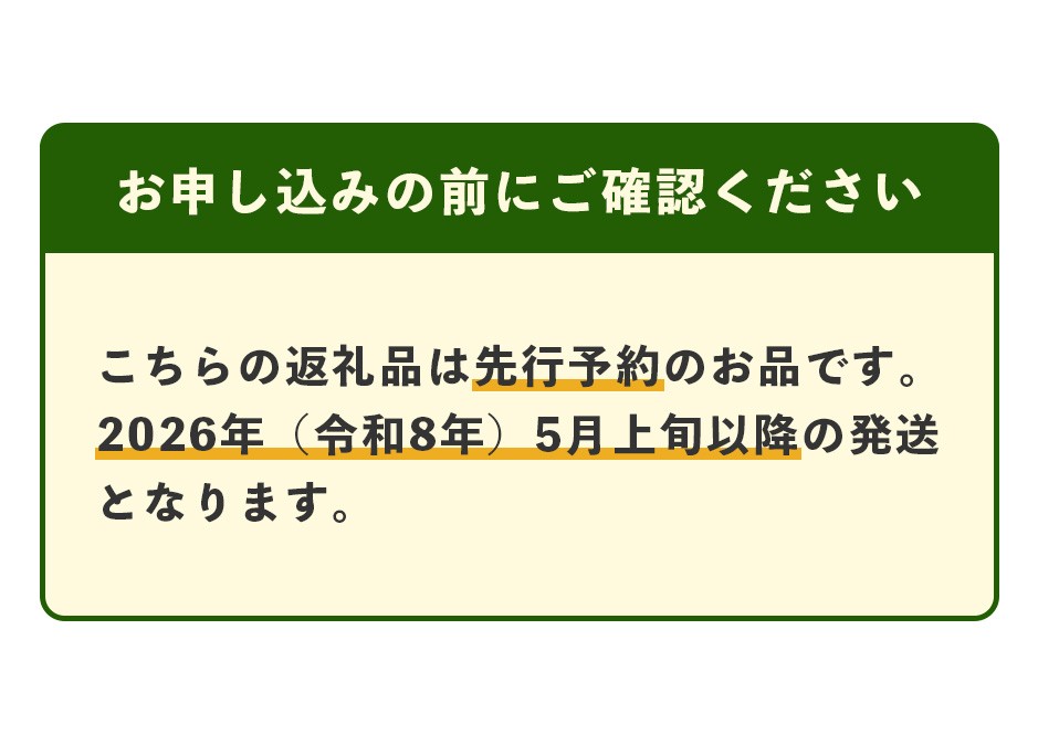 【2025年4月中旬発送開始】熊本県産 ホームランメロン アンデスメロン 食べ比べ 計5玉 約5kg
