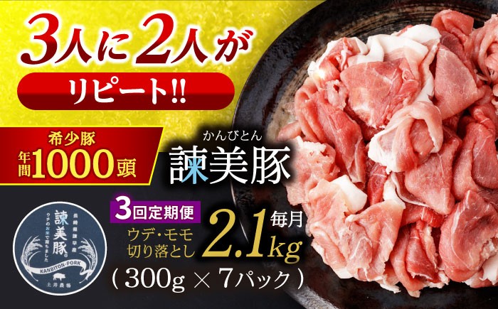 諫美豚 豚肉 切り落とし 肉 豚 お肉 国産 人気 スライス