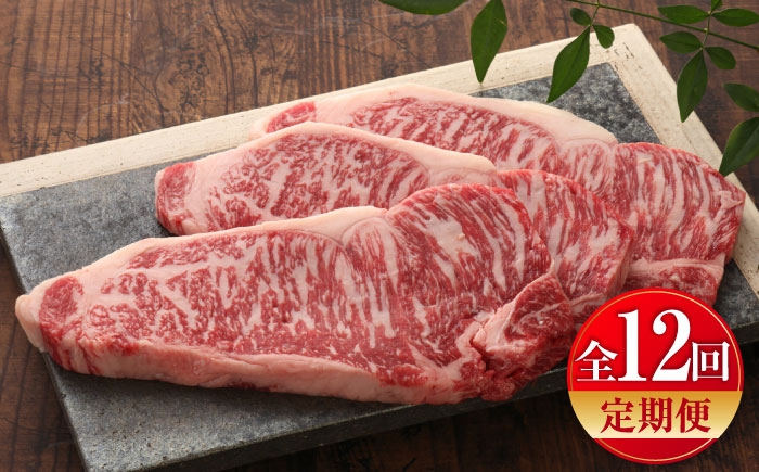 菊陽町 あかうし 熊本県 肉 にく niku ブランド 旨み 定期便
