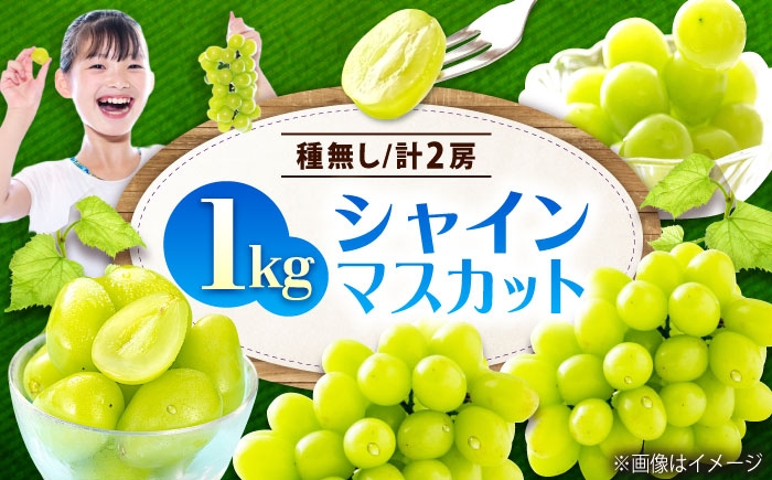 シャインマスカット 2房入り 計1kg