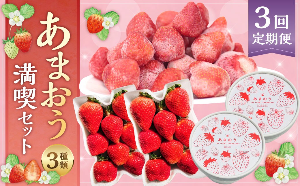 【予約受付・3回定期便】あまおう満喫セット