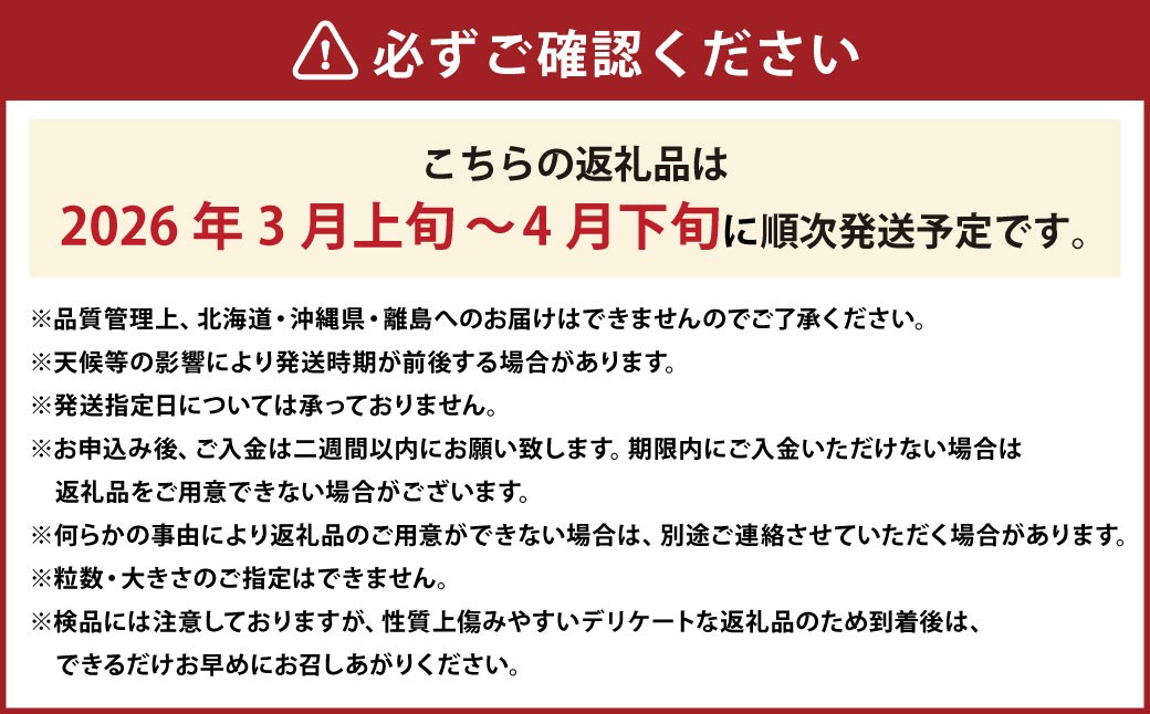 春のあまおう(2L・2A・G規格以上 6パック)【数量限定】