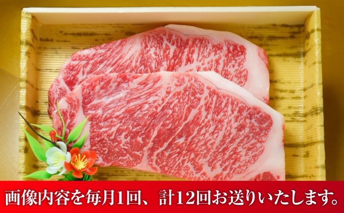 あかうし ロース ステーキ あか牛 赤牛 肉 大賞 100% にく niku ブランド 旨み 熊本県 菊陽町 定期便
