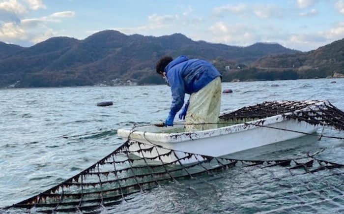 カネト海苔水産の「味付のりボトル入り」 